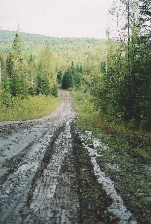 The road to camp