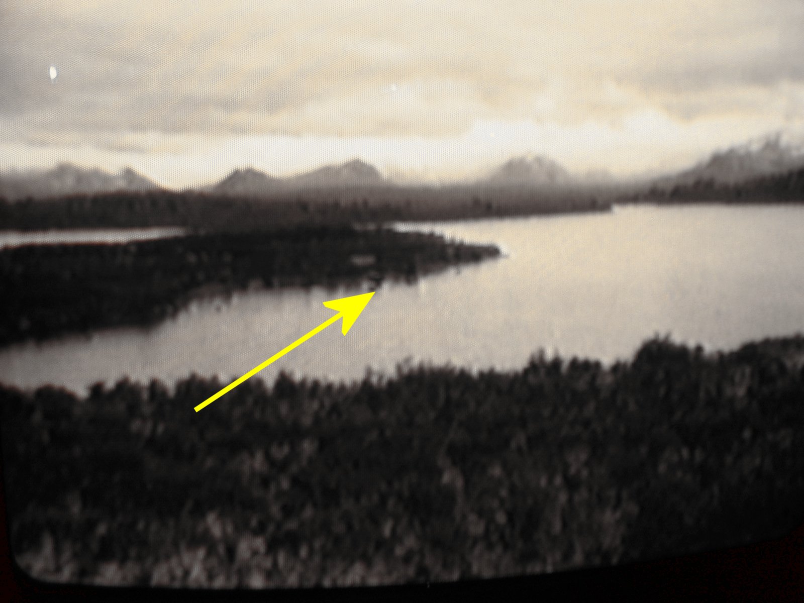 Lakeside Moose Location