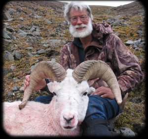 Yukon Dall Sheep at Dickson Outfitters