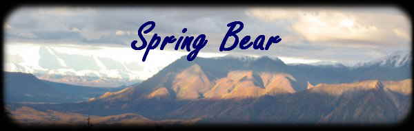 Spring Bear